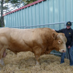 Leigh Needham with Tsar's Gold