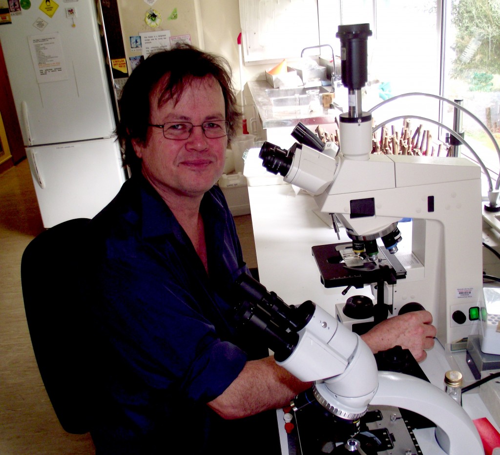 Robert Goodwin: “The problem with working with bees is people fall in love with them.” Robert Goodwin: “The problem with working with bees is people fall in love with them.”