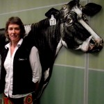 Milking it: Jenny Jago and Brian Dela Rue of the Greenfield Team are pleased their hard work has been recognised with a Kudos awards nomination.