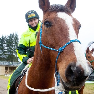 Lisa and her horse Bailey patrolling the Fieldays. Photo by Shannon Rolfe
