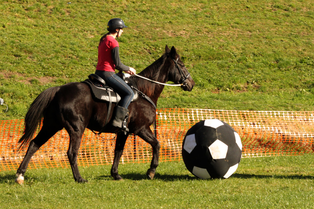 PHOTO CAPTION: Hoofball riders at the Fieldays. Photo by Samantha Smith