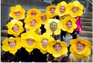 DANCING DAFFODILS:  They will be springing up all over Auckland on Daffodil Day