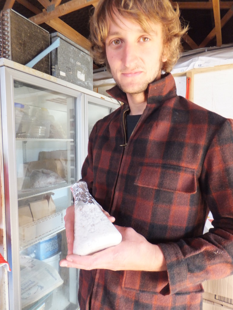 Lennart Prinz, 26, holds a container of oyster mushroom mycelium