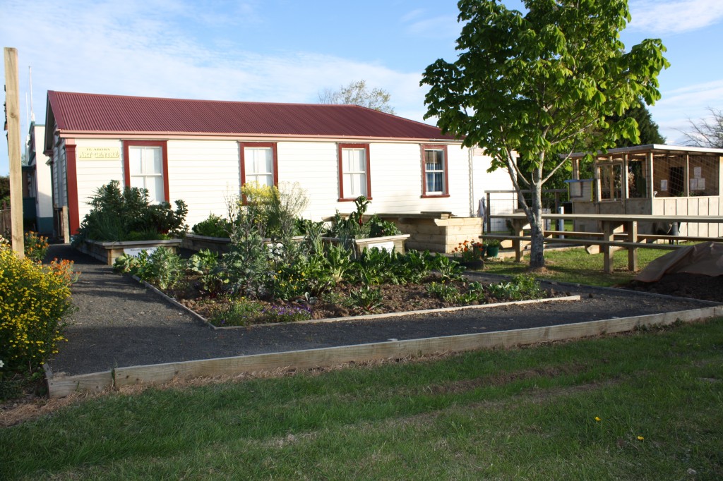 Te Aroha's remodelled garden and public space. Photo: Daniel Whitfield