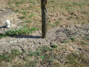 Cracks are causing posts to lift out of the hard ground.
