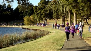 <b>PURPLE FIESTA:</b> People getting their walk on to raise awareness. All photos by: Candice Jones