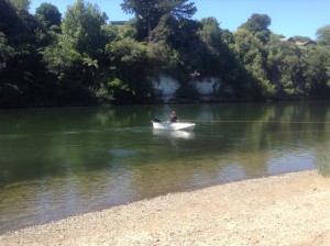 Rower being pulled out of river weed in the Waikato River