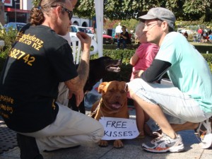 THE DOG WAY: Hamish teaches kids and their parents how they should behave with unfamiliar dogs. Photo: Sophie Iremonger