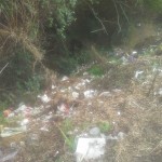 BEFORE:Littered bank in April was off putting to Margaret Dixon