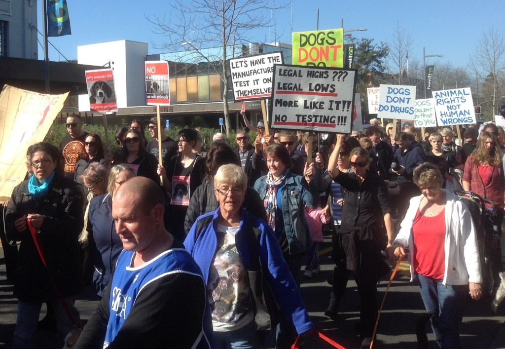 Protesters close traffic to one side of Victoria street during protest. Photo by Matthew Robinson.