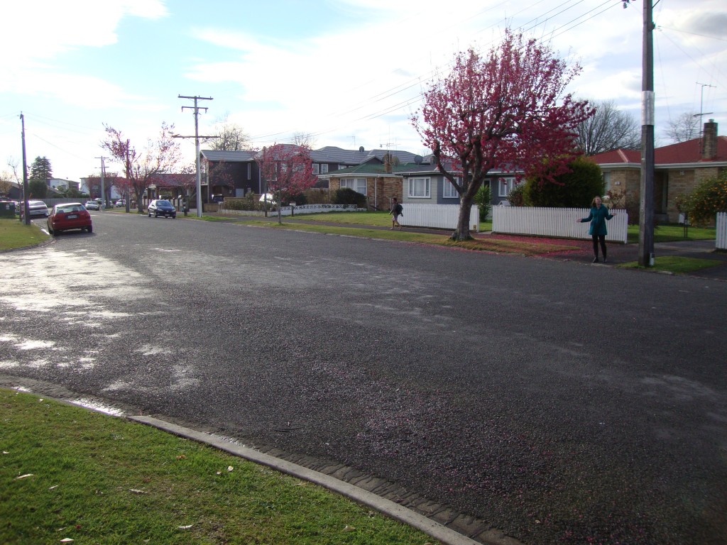 The corner between Hogan and Greensboro St has no street sign. PHOTO: Sophie Iremonger