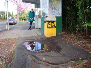 Cracks near the bus stop tend to trip up some walkers. PHOTO: Sophie Iremonger