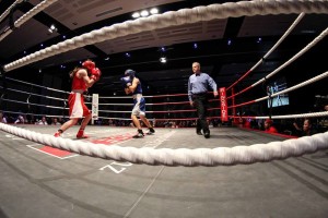 Members from team blue and red at the Corporate Gloves Fight Night 2014