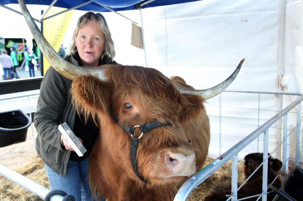 Ginni Alexander with a cattle that is part of their strategy to attract the crowds. Photo: Awhina Kerr