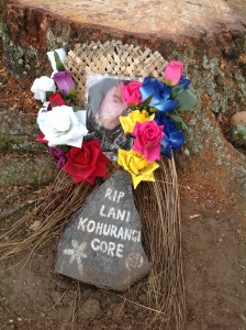 Lani Kohurangi Gore's new memorial laying against that is left of the tree