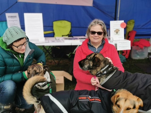 Two people crouched with three dogs