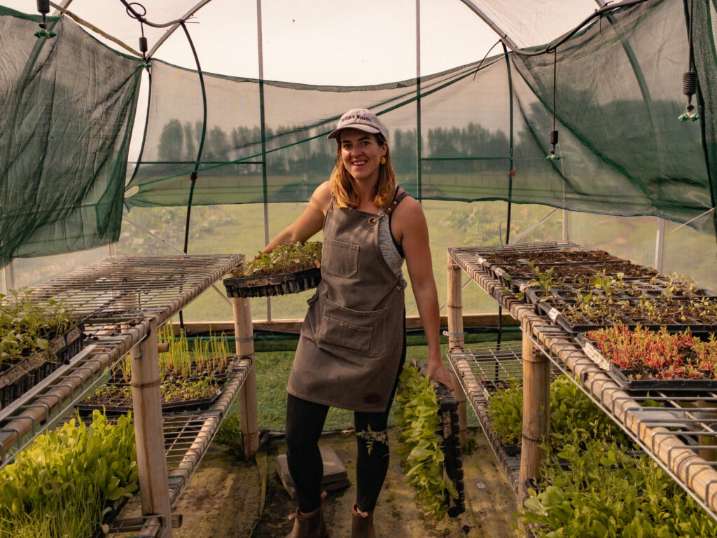 gardener in tkunnelhouse holding seedling trays